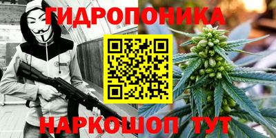 PSILOCYBIN Пенза